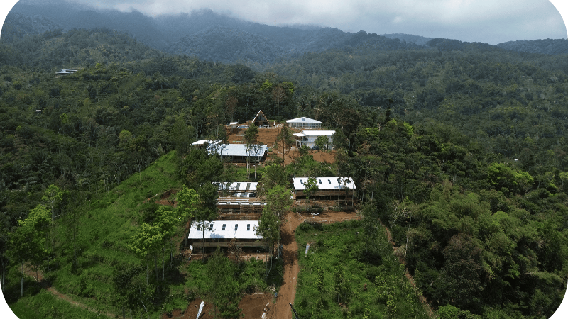 Apa Itu Integrasi Peternakan dan Pertanian?